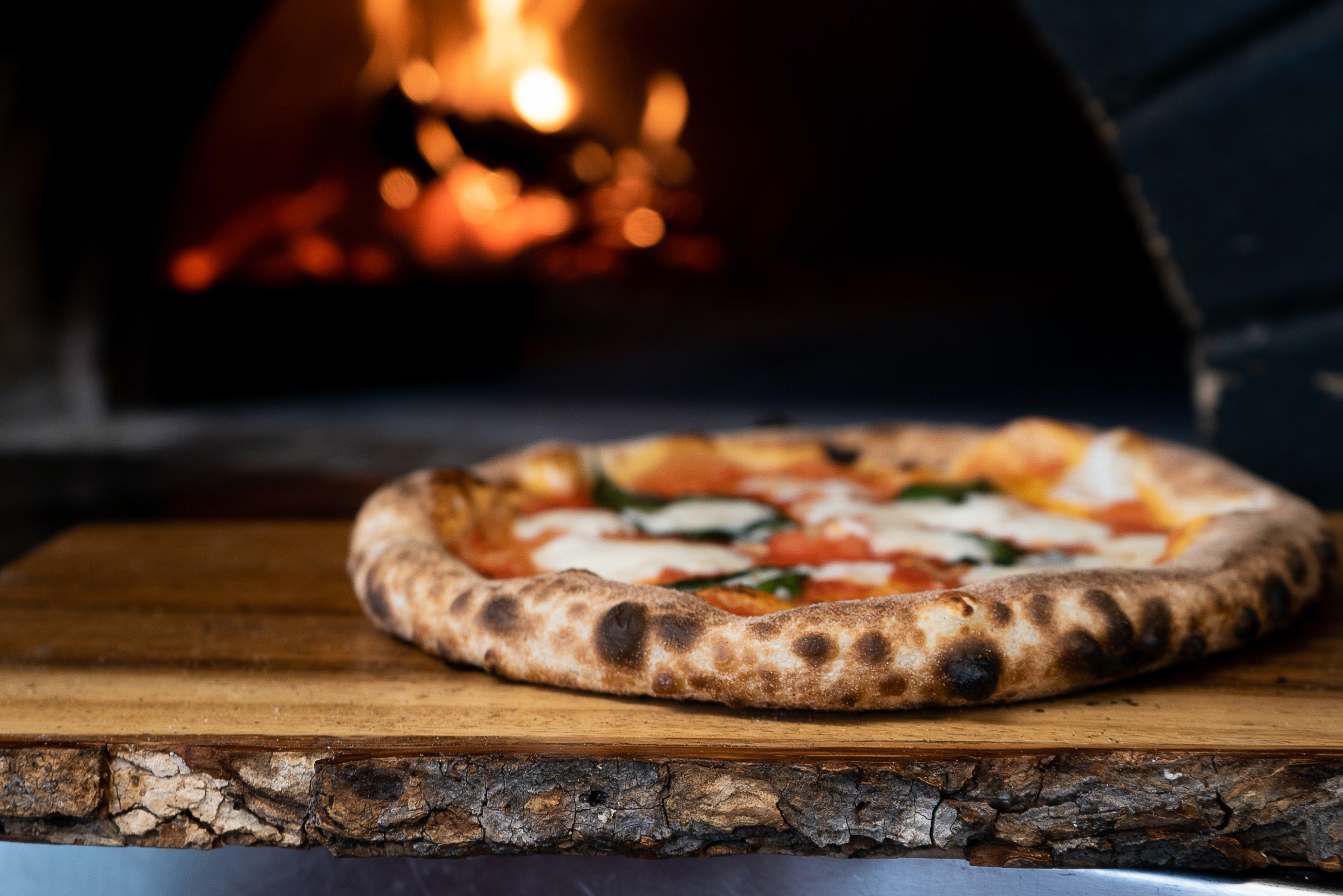 Can you make REAL NY Pizza In the Ninja Woodfire Outdoor Oven